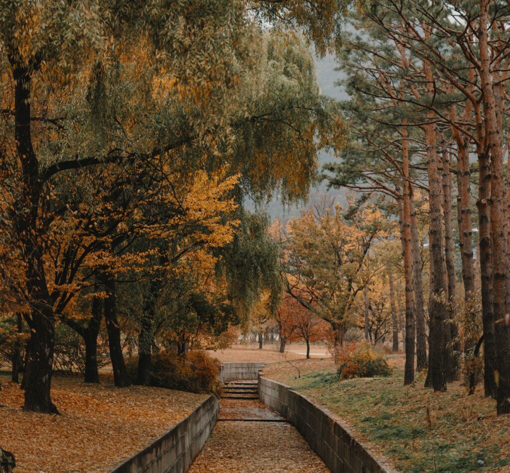 xr:d:dafhhqbv2vy:19,j:3415700020,t:23042519